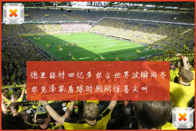 德里赫特回忆多尔古世界波瞬间齐尔克泽家看球时厕所惊喜尖叫